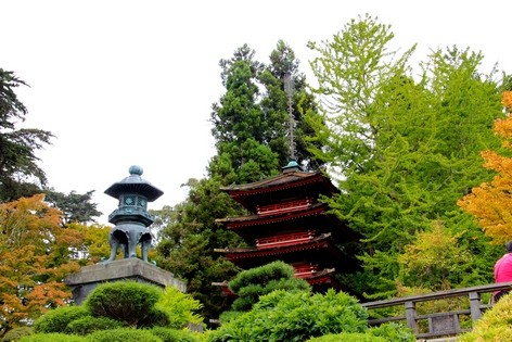 ���-���������